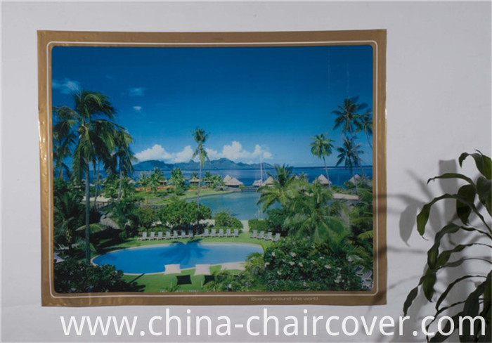 LFGB China Factory New Independent Designtransparent Printed Tablecloth 120*152cm (TZ0008)